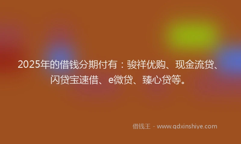 2025年的借钱分期付有：骏祥优购、现金流贷、闪贷宝速借、e微贷、臻心贷等。