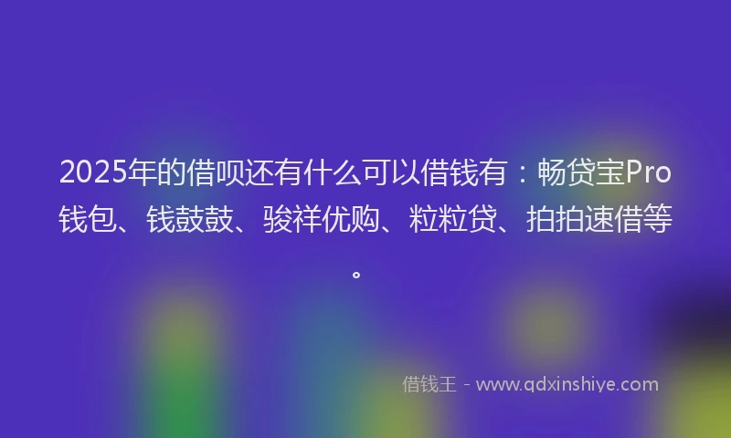 2025年的借呗还有什么可以借钱有：畅贷宝Pro钱包、钱鼓鼓、骏祥优购、粒粒贷、拍拍速借等。