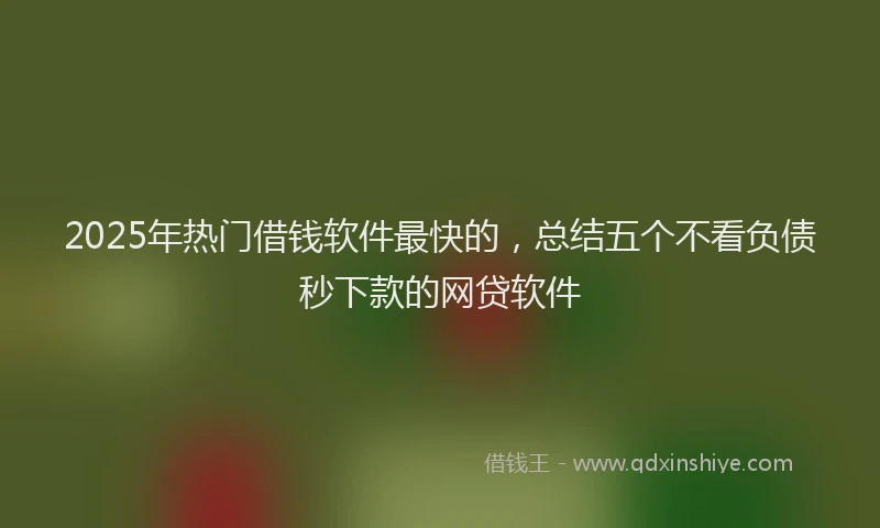 2025年热门借钱软件最快的，总结五个不看负债秒下款的网贷软件