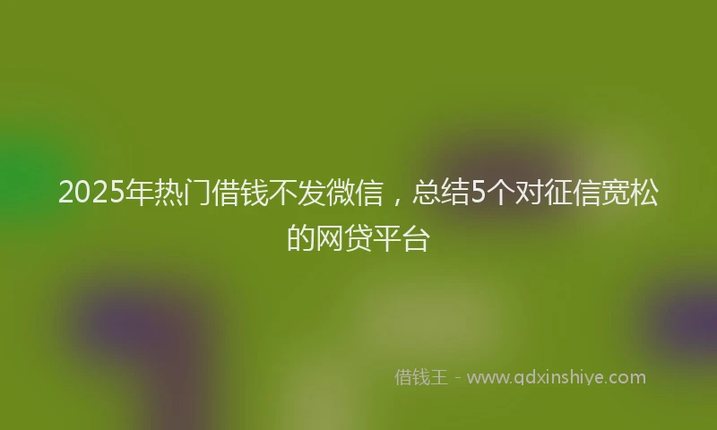 2025年热门借钱不发微信，总结5个对征信宽松的网贷平台