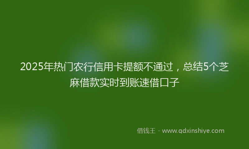 2025年热门农行信用卡提额不通过，总结5个芝麻借款实时到账速借口子