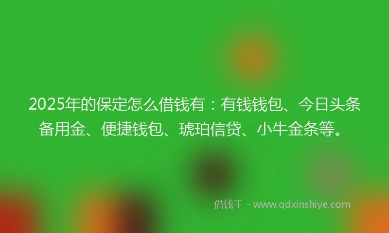 2025年的保定怎么借钱有：有钱钱包、今日头条备用金、便捷钱包、琥珀信贷、小牛金条等。