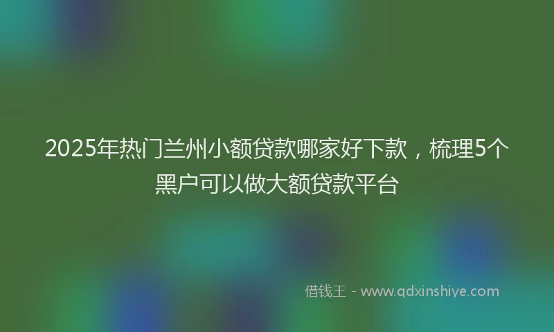 2025年热门兰州小额贷款哪家好下款，梳理5个黑户可以做大额贷款平台