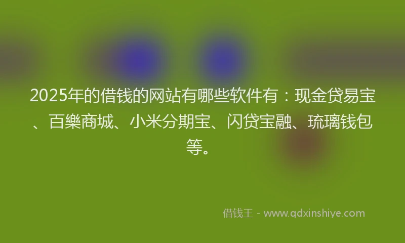 2025年的借钱的网站有哪些软件有：现金贷易宝、百樂商城、小米分期宝、闪贷宝融、琉璃钱包等。