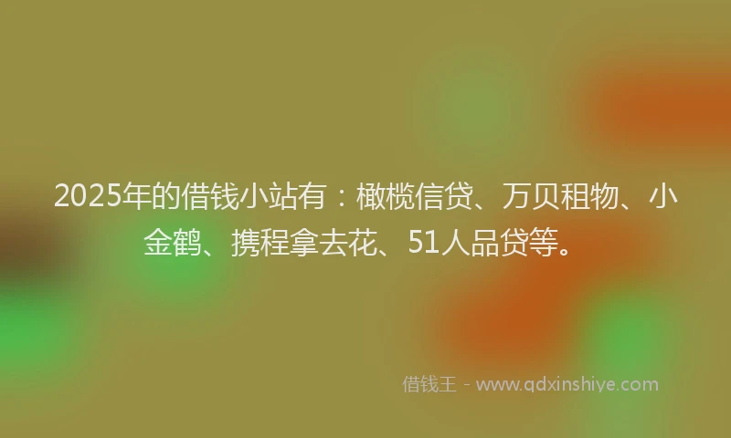 2025年的借钱小站有：橄榄信贷、万贝租物、小金鹤、携程拿去花、51人品贷等。
