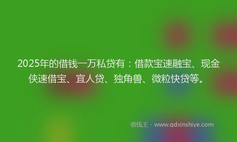 2025年的借钱一万私贷有：借款宝速融宝、现金侠速借宝、宜人贷、独角兽、微粒快贷等。