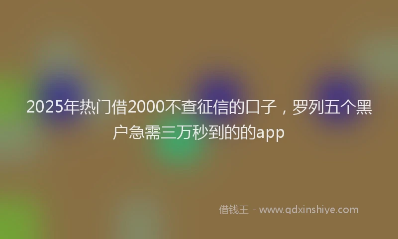 2025年热门借2000不查征信的口子，罗列五个黑户急需三万秒到的的app