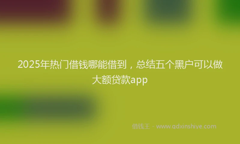 2025年热门借钱哪能借到，总结五个黑户可以做大额贷款app
