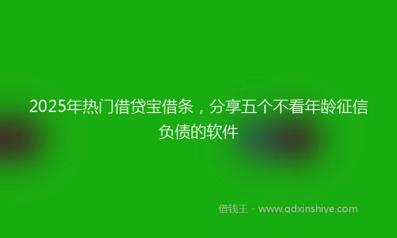 2025年热门借贷宝借条，分享五个不看年龄征信负债的软件