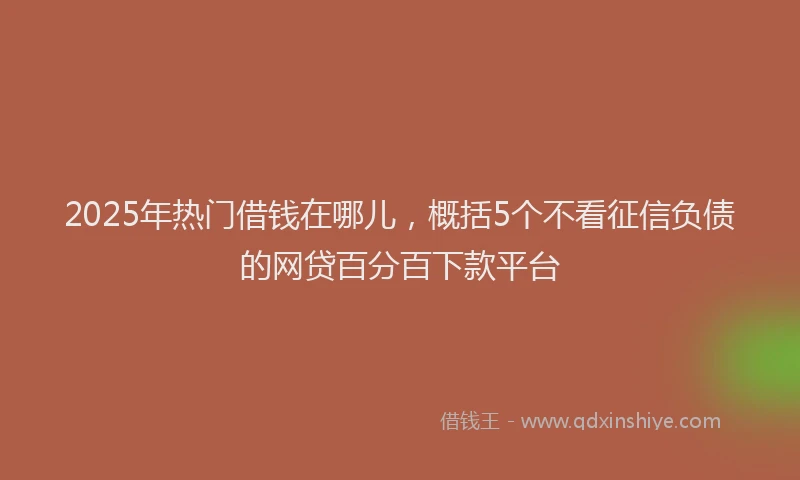 2025年热门借钱在哪儿，概括5个不看征信负债的网贷百分百下款平台