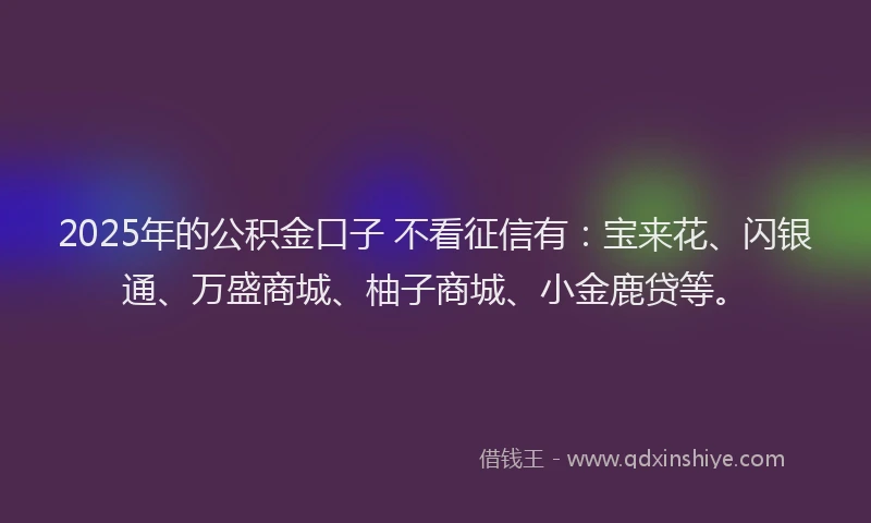 2025年的公积金口子 不看征信有：宝来花、闪银通、万盛商城、柚子商城、小金鹿贷等。