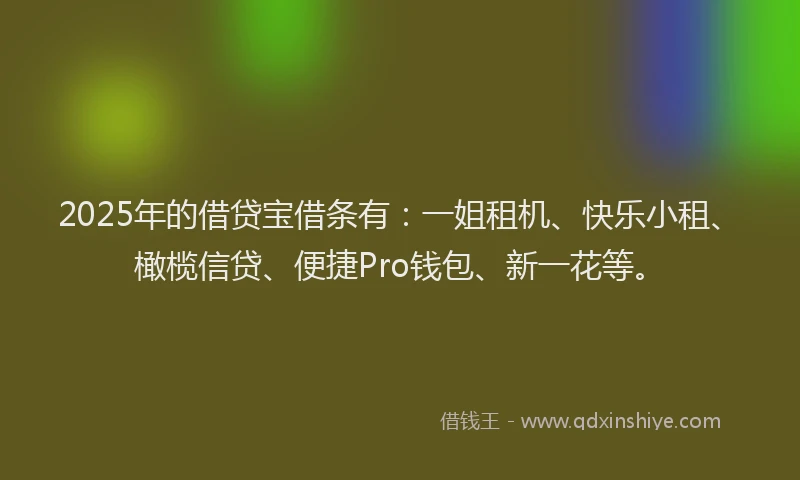 2025年的借贷宝借条有：一姐租机、快乐小租、橄榄信贷、便捷Pro钱包、新一花等。