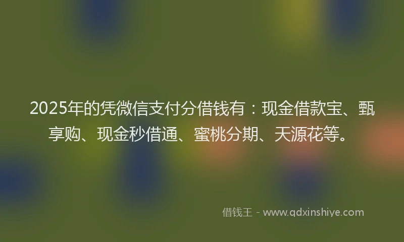 2025年的凭微信支付分借钱有：现金借款宝、甄享购、现金秒借通、蜜桃分期、天源花等。