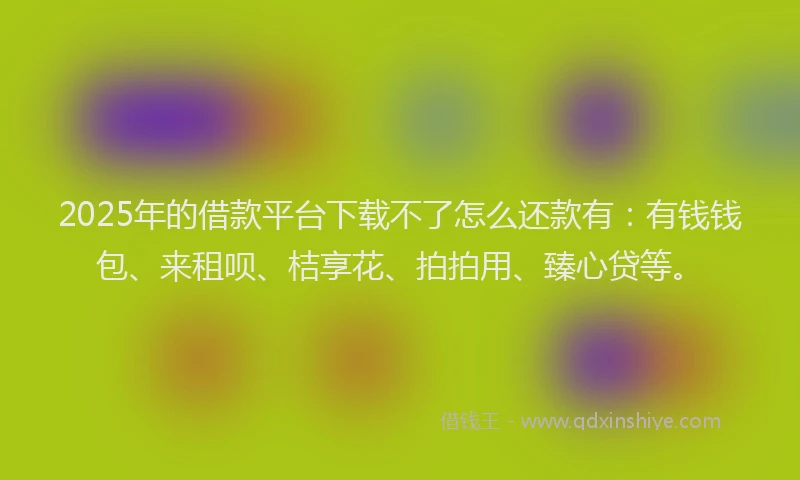 2025年的借款平台下载不了怎么还款有：有钱钱包、来租呗、桔享花、拍拍用、臻心贷等。