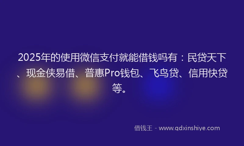 2025年的使用微信支付就能借钱吗有：民贷天下、现金侠易借、普惠Pro钱包、飞鸟贷、信用快贷等。