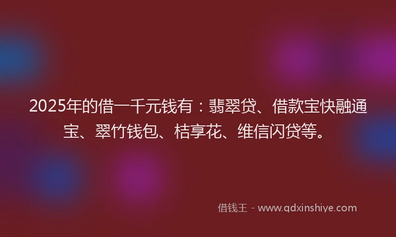 2025年的借一千元钱有：翡翠贷、借款宝快融通宝、翠竹钱包、桔享花、维信闪贷等。