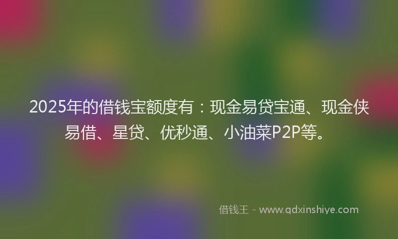 2025年的借钱宝额度有：现金易贷宝通、现金侠易借、星贷、优秒通、小油菜P2P等。