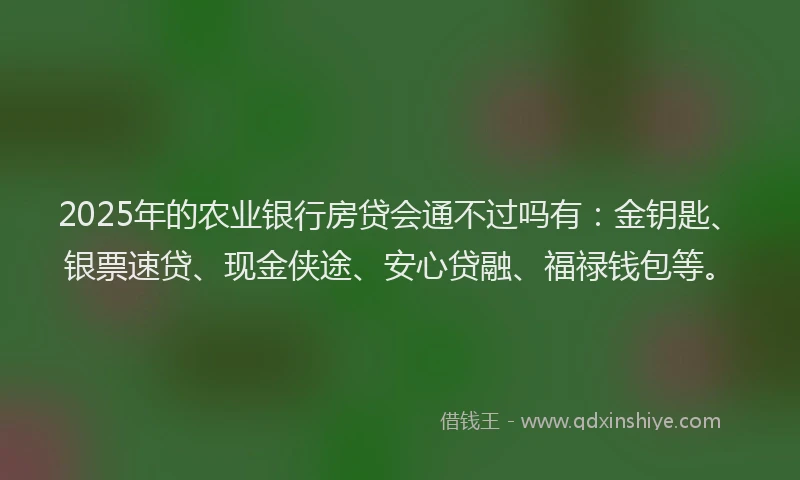 2025年的农业银行房贷会通不过吗有：金钥匙、银票速贷、现金侠途、安心贷融、福禄钱包等。