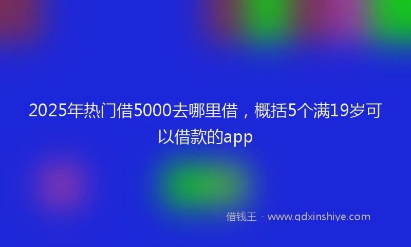2025年热门借5000去哪里借，概括5个满19岁可以借款的app