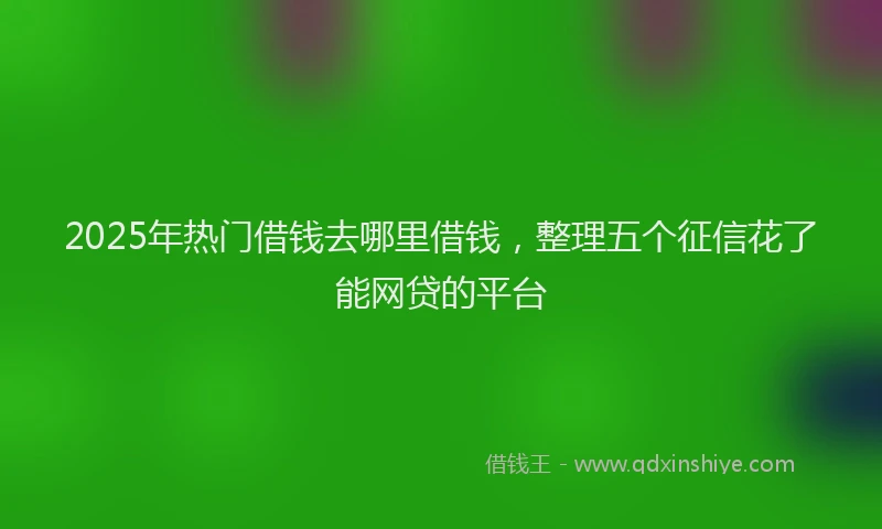 2025年热门借钱去哪里借钱，整理五个征信花了能网贷的平台