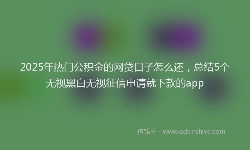 2025年热门公积金的网贷口子怎么还，总结5个无视黑白无视征信申请就下款的app