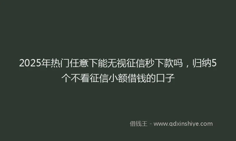2025年热门任意下能无视征信秒下款吗，归纳5个不看征信小额借钱的口子