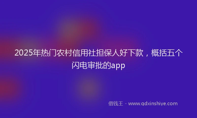 2025年热门农村信用社担保人好下款，概括五个闪电审批的app