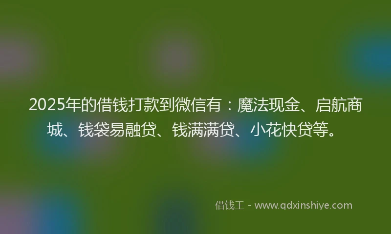 2025年的借钱打款到微信有：魔法现金、启航商城、钱袋易融贷、钱满满贷、小花快贷等。