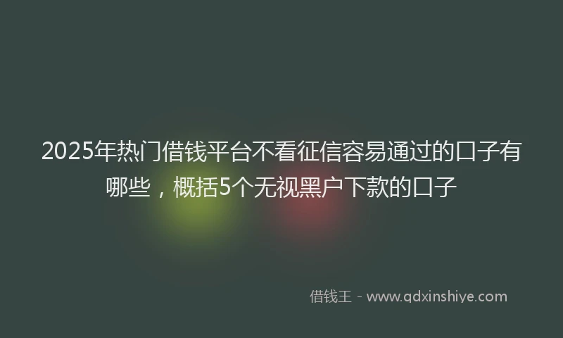 2025年热门借钱平台不看征信容易通过的口子有哪些，概括5个无视黑户下款的口子