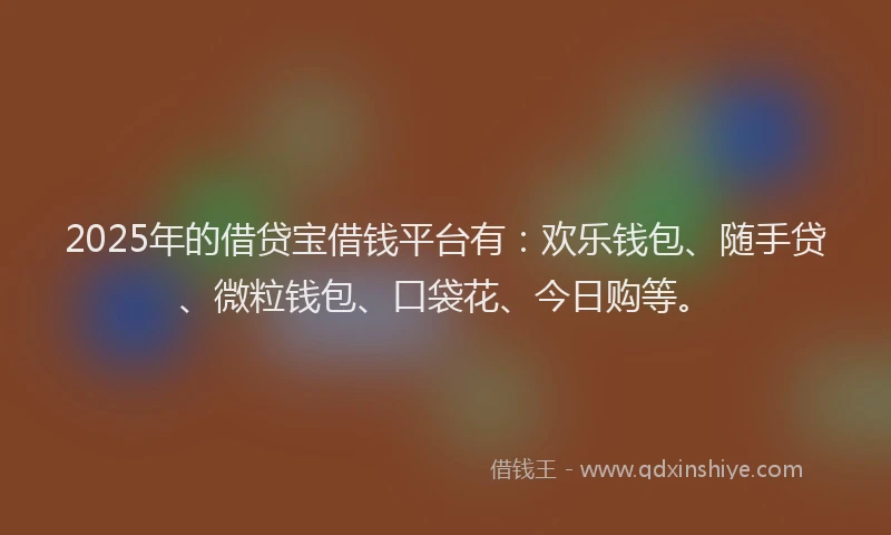 2025年的借贷宝借钱平台有：欢乐钱包、随手贷、微粒钱包、口袋花、今日购等。