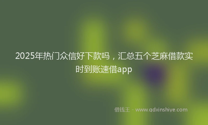 2025年热门众信好下款吗，汇总五个芝麻借款实时到账速借app