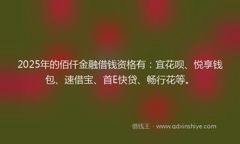 2025年的佰仟金融借钱资格有：宜花呗、悦享钱包、速借宝、首E快贷、畅行花等。