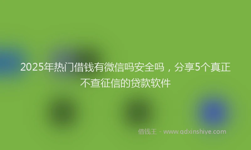 2025年热门借钱有微信吗安全吗，分享5个真正不查征信的贷款软件