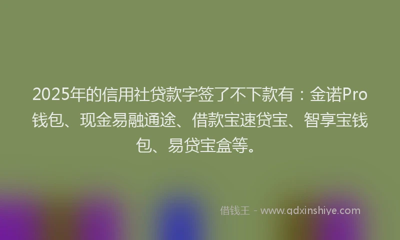 2025年的信用社贷款字签了不下款有：金诺Pro钱包、现金易融通途、借款宝速贷宝、智享宝钱包、易贷宝盒等。