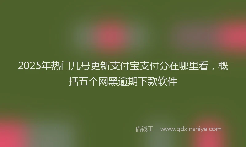 2025年热门几号更新支付宝支付分在哪里看，概括五个网黑逾期下款软件
