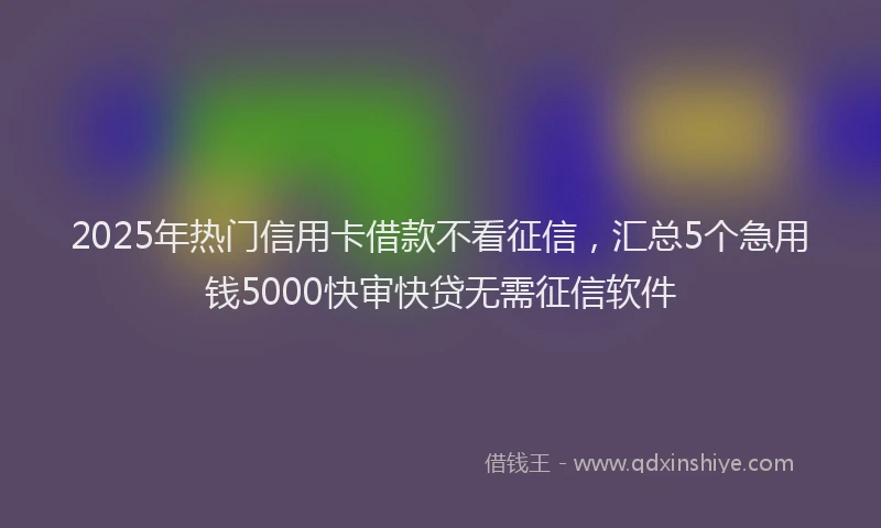 2025年热门信用卡借款不看征信，汇总5个急用钱5000快审快贷无需征信软件