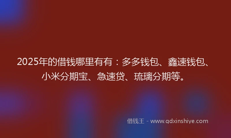 2025年的借钱哪里有有：多多钱包、鑫速钱包、小米分期宝、急速贷、琉璃分期等。