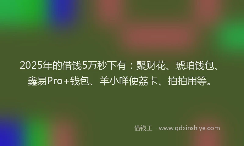2025年的借钱5万秒下有：聚财花、琥珀钱包、鑫易Pro+钱包、羊小咩便荔卡、拍拍用等。