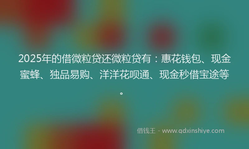 2025年的借微粒贷还微粒贷有：惠花钱包、现金蜜蜂、独品易购、洋洋花呗通、现金秒借宝途等。