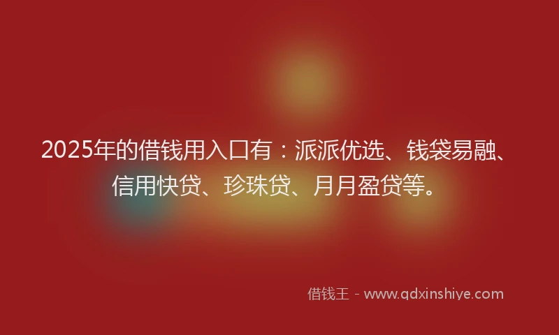 2025年的借钱用入口有：派派优选、钱袋易融、信用快贷、珍珠贷、月月盈贷等。