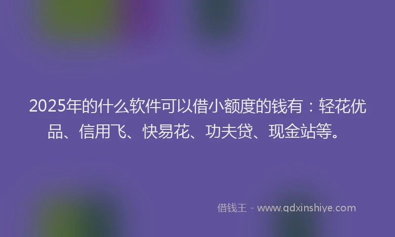 2025年的什么软件可以借小额度的钱有：轻花优品、信用飞、快易花、功夫贷、现金站等。