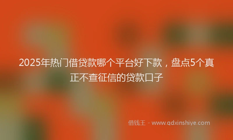 2025年热门借贷款哪个平台好下款，盘点5个真正不查征信的贷款口子