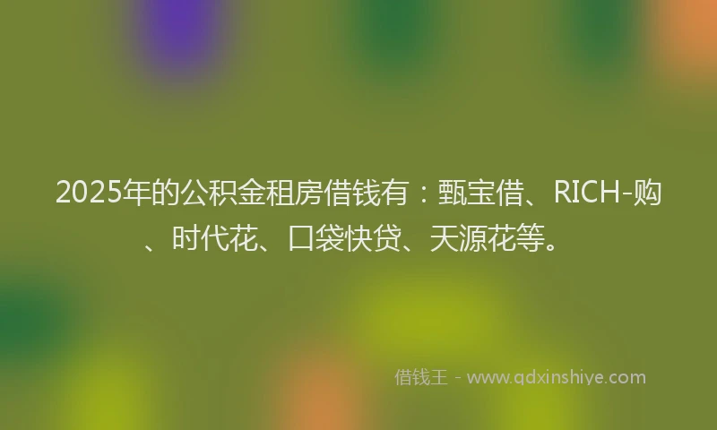 2025年的公积金租房借钱有：甄宝借、RICH-购、时代花、口袋快贷、天源花等。