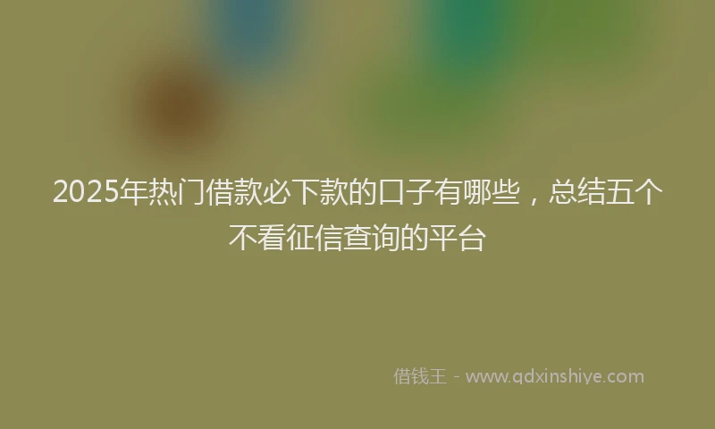 2025年热门借款必下款的口子有哪些，总结五个不看征信查询的平台