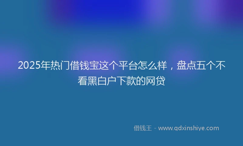 2025年热门借钱宝这个平台怎么样，盘点五个不看黑白户下款的网贷