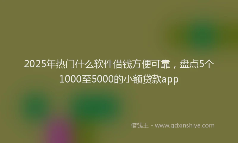 2025年热门什么软件借钱方便可靠，盘点5个1000至5000的小额贷款app