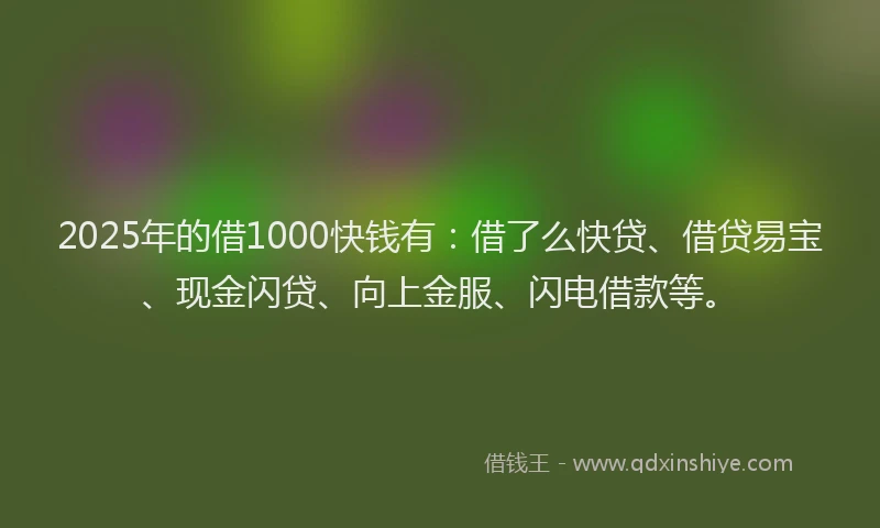 2025年的借1000快钱有：借了么快贷、借贷易宝、现金闪贷、向上金服、闪电借款等。