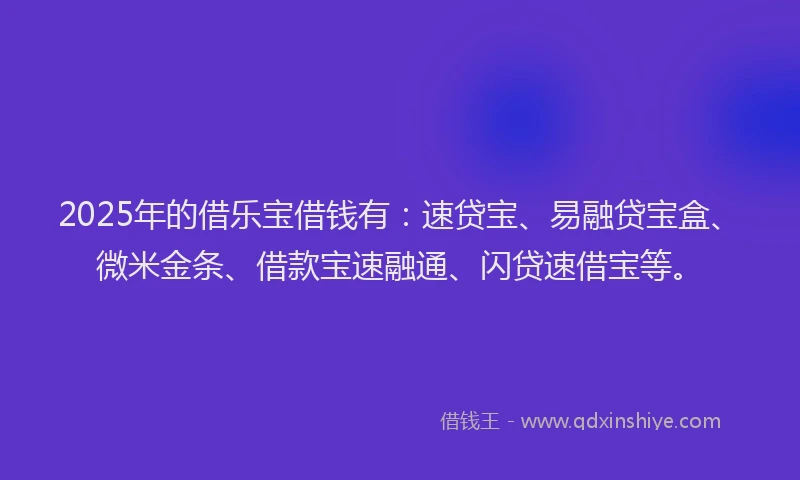 2025年的借乐宝借钱有：速贷宝、易融贷宝盒、微米金条、借款宝速融通、闪贷速借宝等。