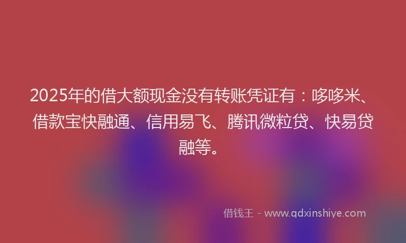 2025年的借大额现金没有转账凭证有：哆哆米、借款宝快融通、信用易飞、腾讯微粒贷、快易贷融等。