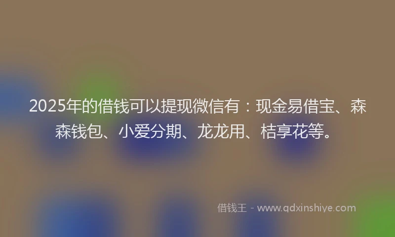 2025年的借钱可以提现微信有：现金易借宝、森森钱包、小爱分期、龙龙用、桔享花等。